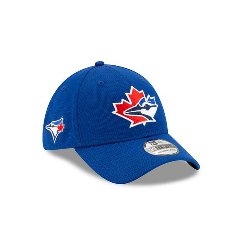 MLB Toronto Blue Jays 2021 Spring Training 39Thirty Stretch Fit (VHR9339) - Blue New Era Caps